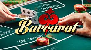 Discover the Excitement of Baccarat at Wow88