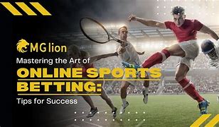 Tips for Success in Sports Betting on SSBet77